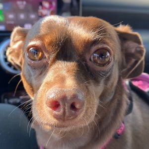 Meet your Posher, Michael